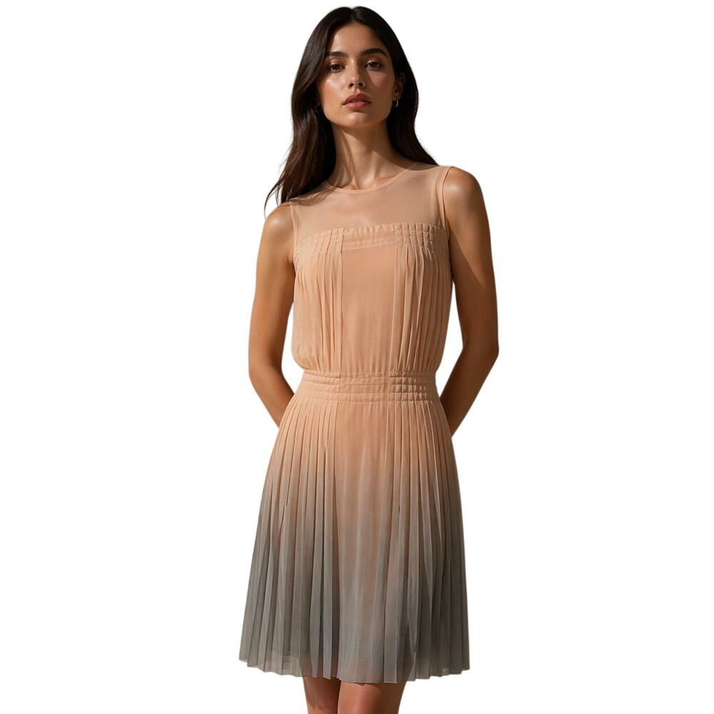 Bebe Vintage Ombre Pleated Drop Waist Sleeveless Midi Dress Peach Gray Size 0